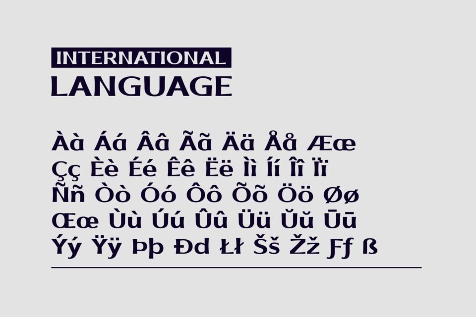 A light gray banner showcasing a wide range of international language characters and diacritics in the Kripto font. The heading "INTERNATIONAL LANGUAGE" is at the top.