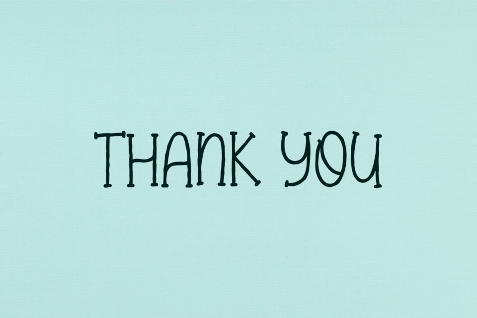 The words "Thank You" written in the Elabora font on a light blue background. Title: Thank You in Elabora Font