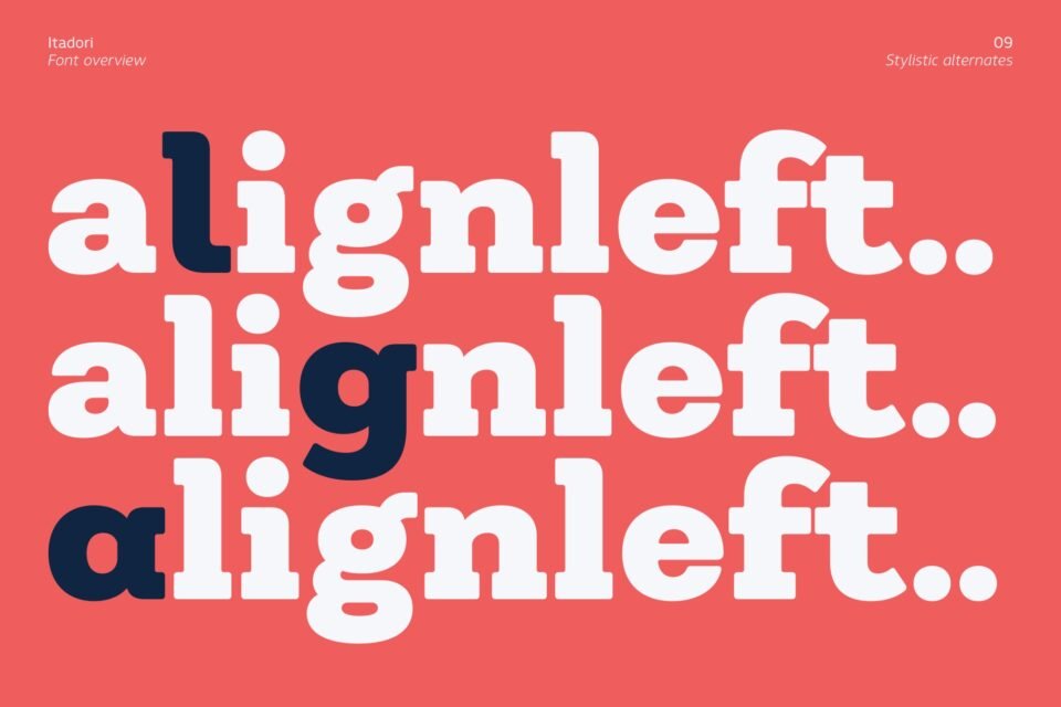 Detailed close-up view of lowercase letters showing the OpenType stylistic alternates available in the Itadori font.