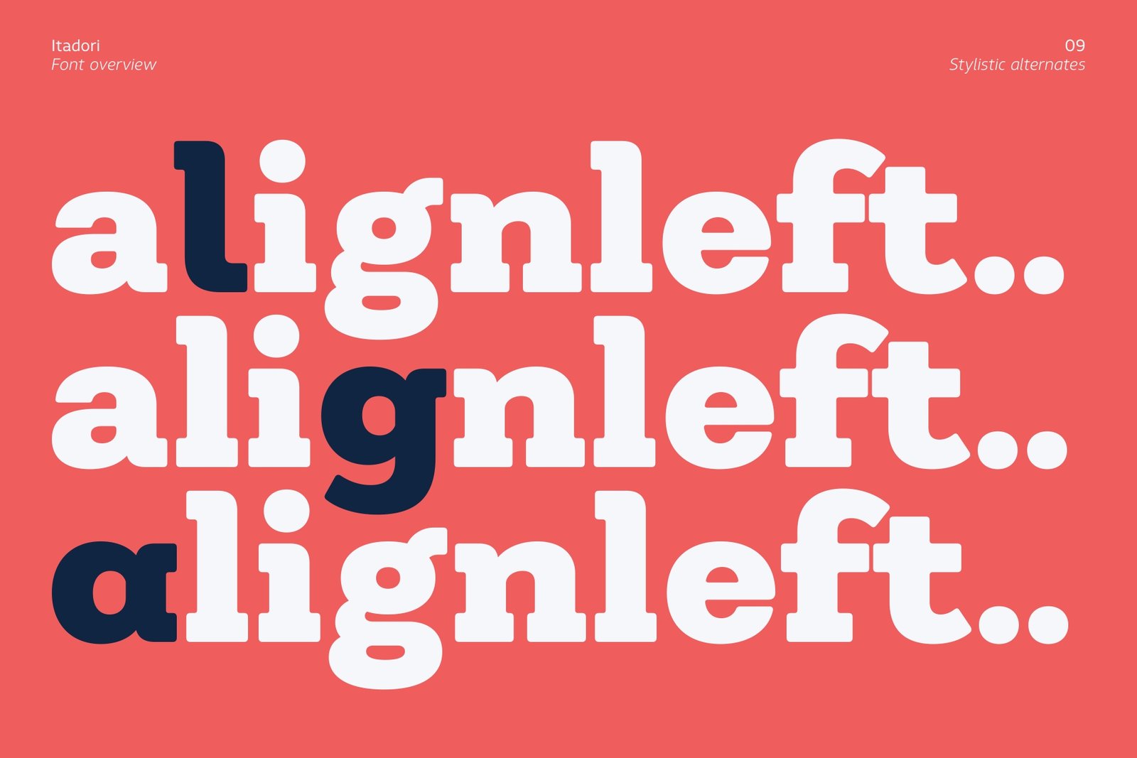 Detailed close-up view of lowercase letters showing the OpenType stylistic alternates available in the Itadori font.