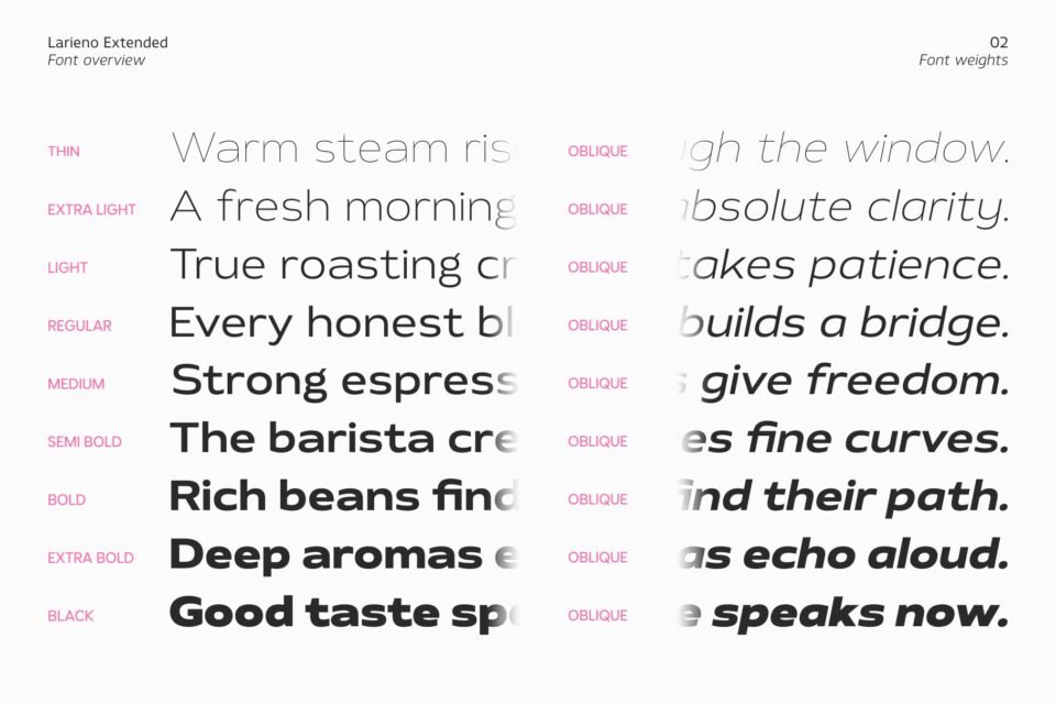The official cover presentation slide of Larieno Extended typeface showing its wide, open proportions, clean letterforms, and confident modern look.